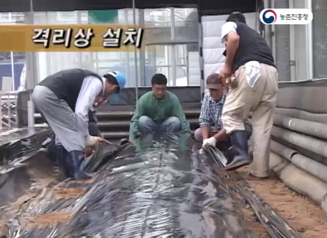 동영상 썸네일 이미지 :멜론 격리상 시설재배