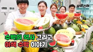 동영상 썸네일 이미지 :[알쓸신농] 이런 수박 알고 있다면 박수!! 수박의 역사와 이색수박 이야기