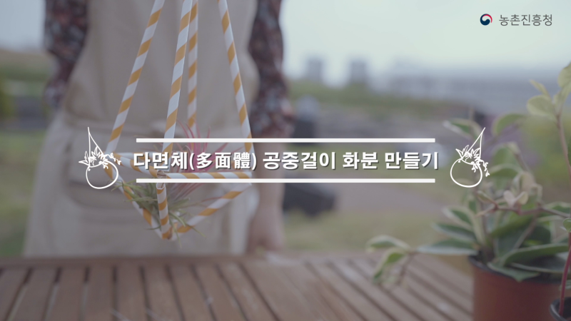 동영상 썸네일 이미지 :다면체 공중걸이 화분 만들기(住)