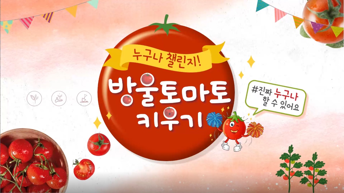동영상 썸네일 이미지 :누구나 챌린지! 방울토마토 키우기