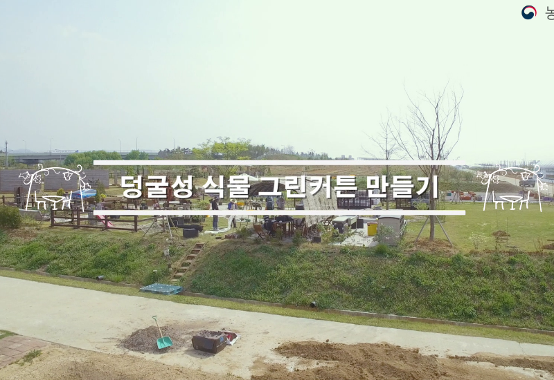 동영상 썸네일 이미지 :덩굴성 식물 그린커튼 만들기(住)