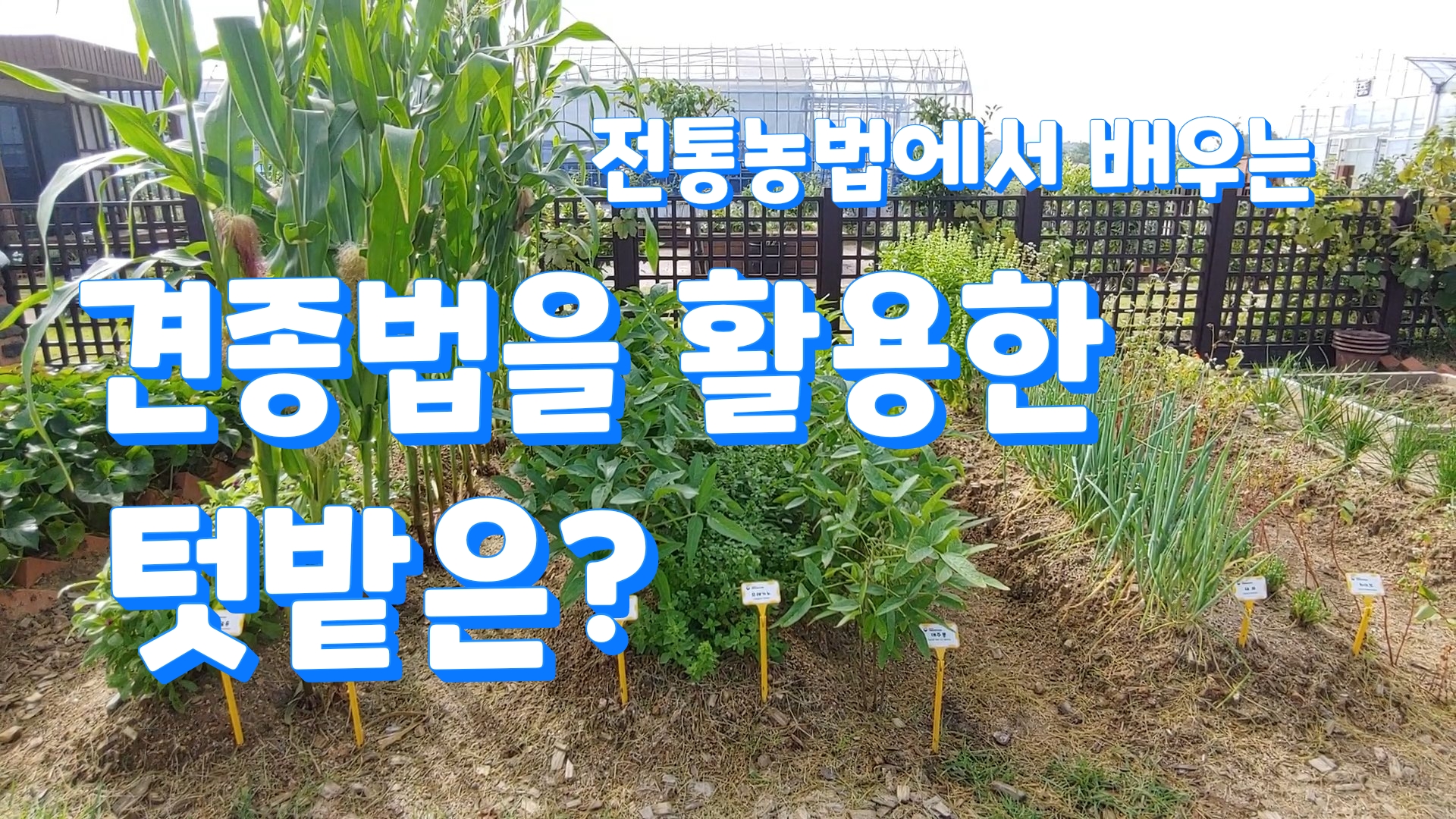 (with 귀농7년차) 견종법을 활용한 텃밭은?