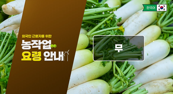 동영상 썸네일 이미지 :외국인 근로자를 위한 농작업 요령 안내 - 무