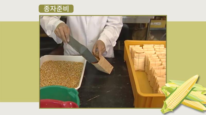 종자준비