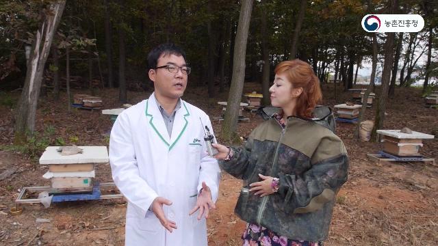 벌통 교체와 합봉 실천
