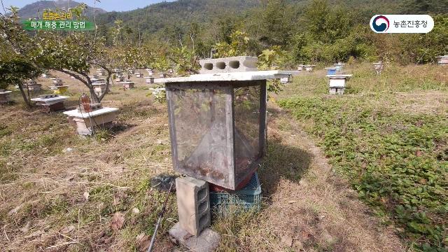 질병 매개 해충 유입 차단 봉군 관리 방법_매개 해충 관리 방법