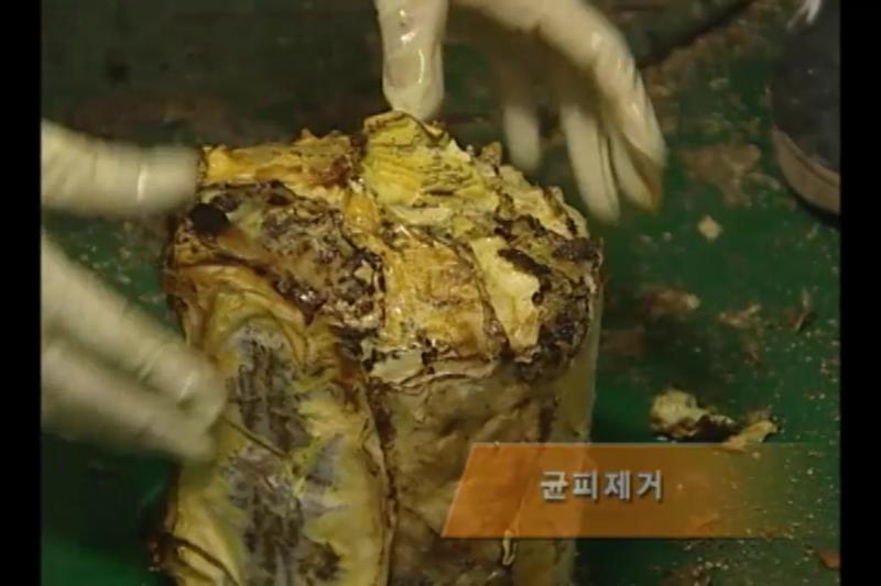 입상_생육관리_수확_건조