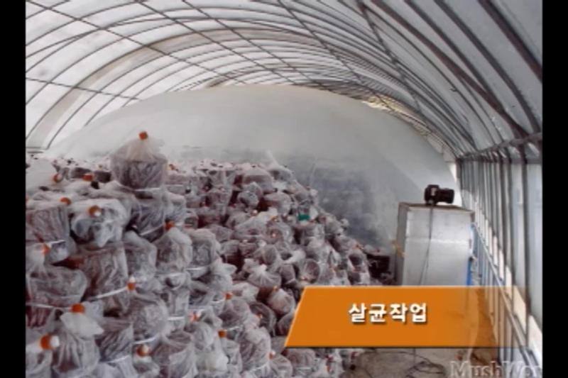 살균_종균접종_균사배양_인터뷰