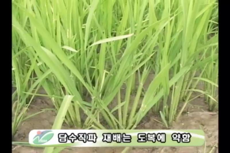 물 걸러대기_중간물떼기