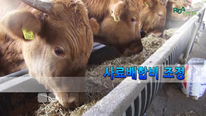 사료배합비 조정