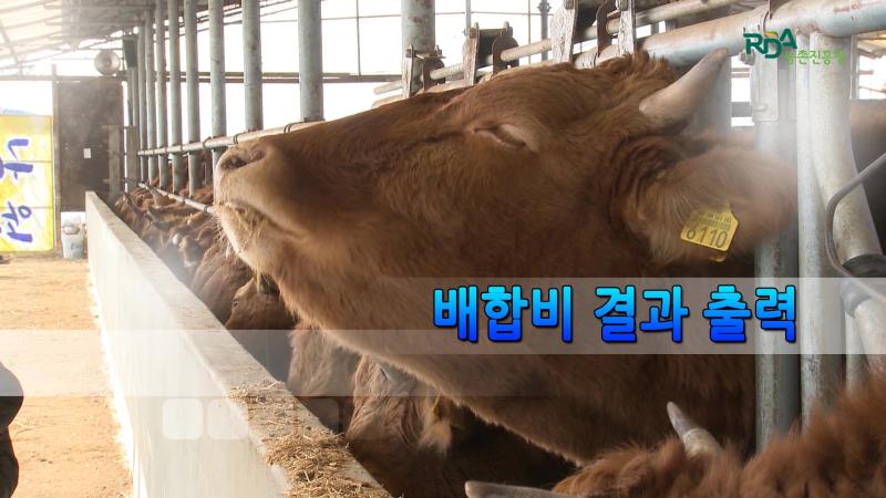 배합비 결과 출력