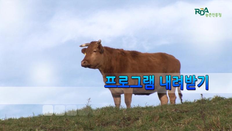 프로그램내려받기, 설치