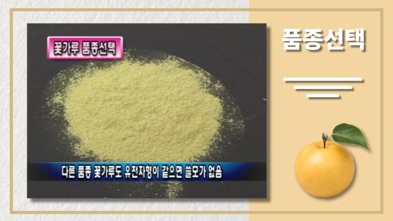 품종선택
