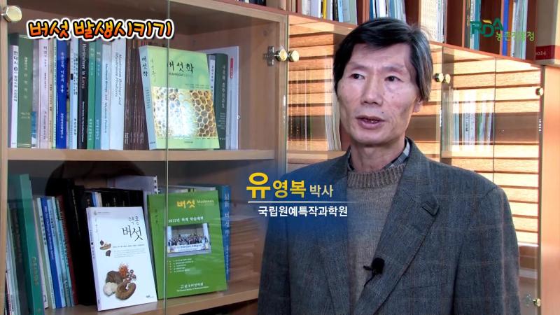 버섯 발생시키기