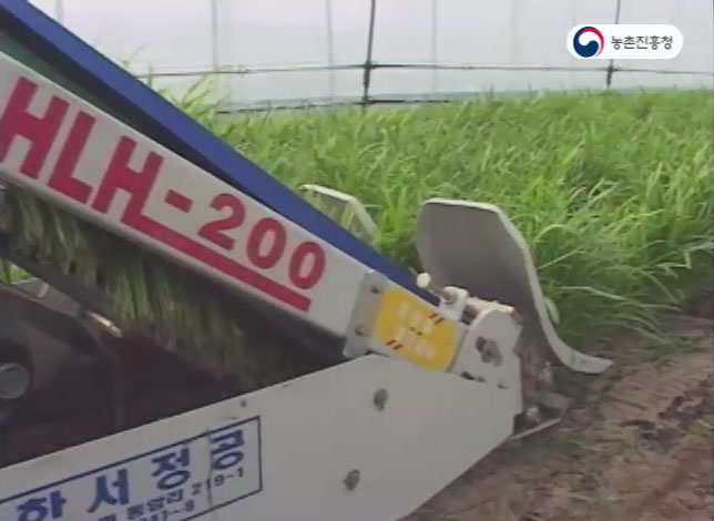 동영상 썸네일 이미지 :부추 기계화 재배