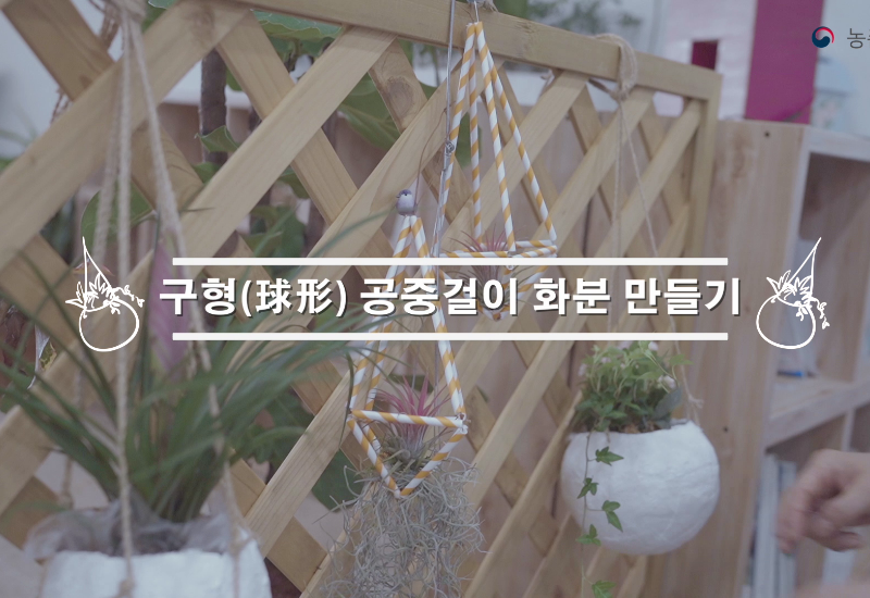 동영상 썸네일 이미지 :구형 공중걸이 화분 만들기(住)