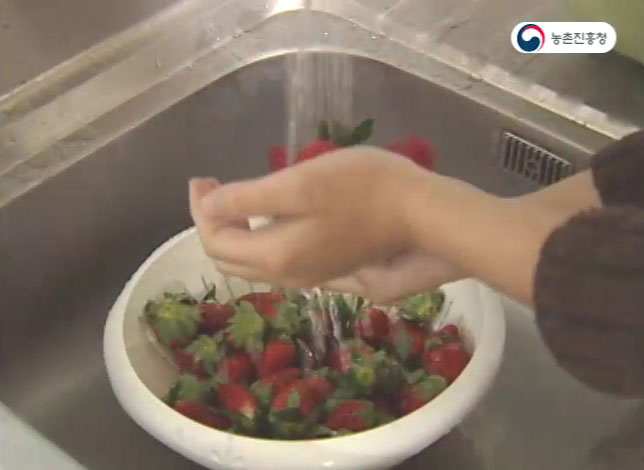 동영상 썸네일 이미지 :딸기의 안전성