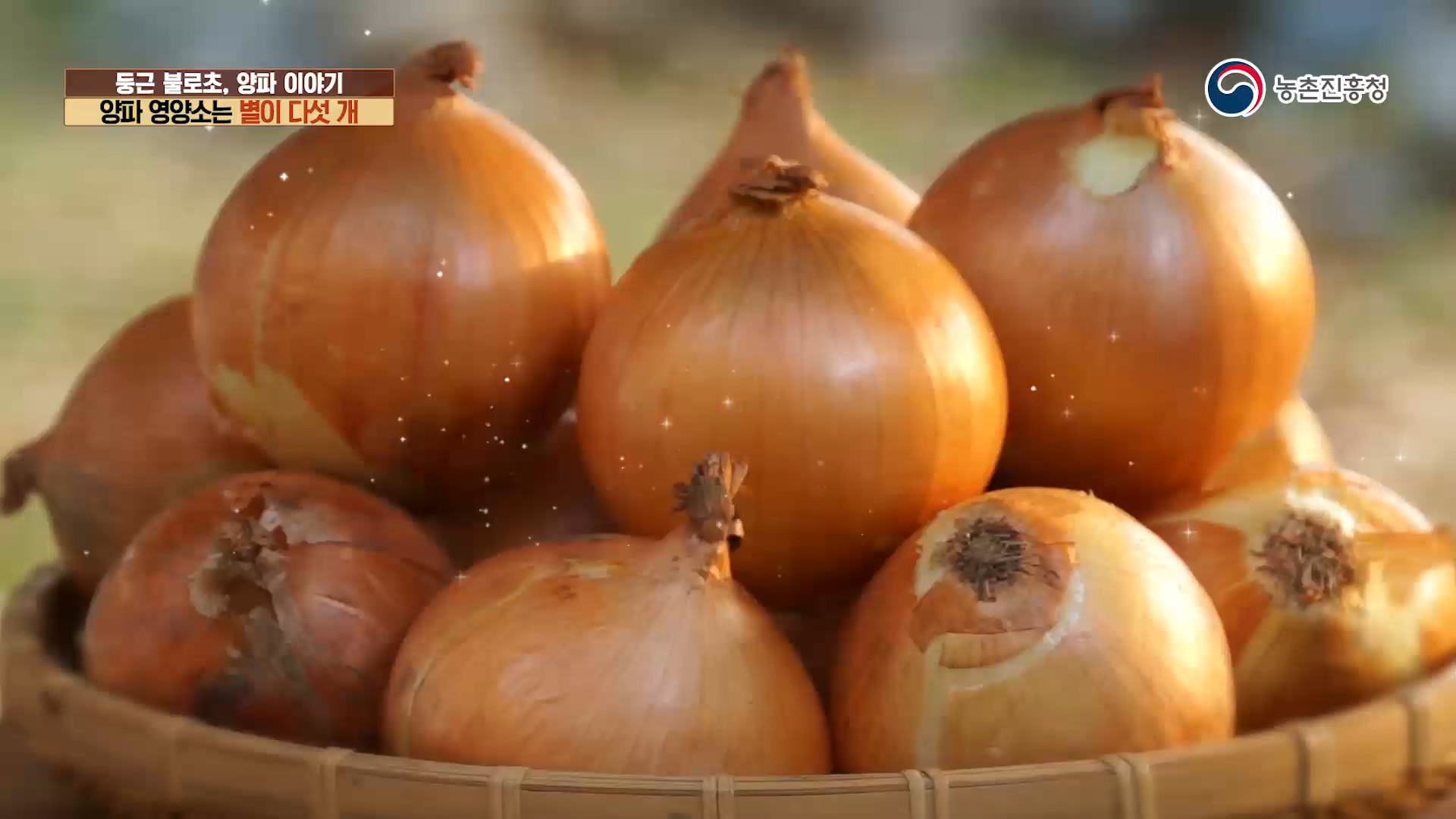 동영상 썸네일 이미지 :둥근 불로초, 양파 이야기