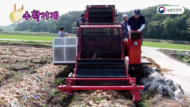 동영상 썸네일 이미지 :양파 기계화 재배 