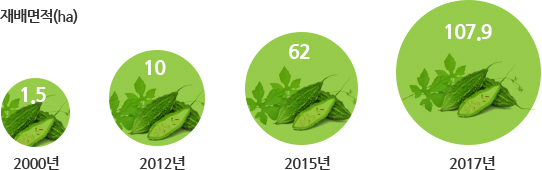 연도별 여주 재배면적 - 2000년 1.5ha, 2012년 10ha, 2015년 62ha, 2017년 107.9ha