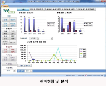 판매현황 및 분석