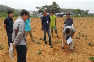 제초제 분석을 위한 재료 채취