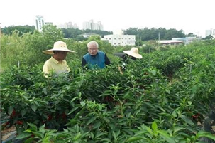 기술지원 전경