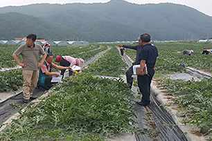 조사결과 설명
