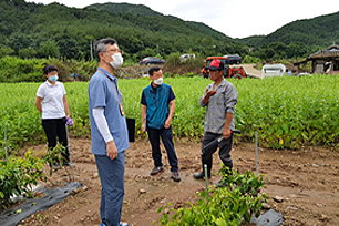 조사 결과 설명