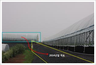  시들음 증상 포장의 객토 사항
