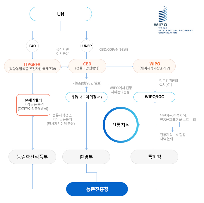 WIPO WORLD INTELECTUAL PROPERTY ORGANIZATION, UN은 FAO와 UNEP로 나눠지며 FAO와 UNEP는 ITPGRFA(식량농업식품 유전자원 국제조약)과 CBD(생물다양성협약)과 WIPO(세계지식재산권기구)를 통해 유전자원 이익공유 및 CBD/COP/4('98년)을 하였으며 ITPGRFA는 전통지식 접근, 이익공유논의(당사자간이익 공유) 64개 작물의 이익 공유 논의(다자간이익공유방식), CBD는 NP(나고야의정서)에서 제8조j항(93년 발효) WIPO에서 전통지식논의 결정 WIPO는WIPO/IGC로 WIPO에서 전통 지식논의 결정, 농촌진흥청은 농림축산식품부와 환경부 특허청을 통해 전통지식에 대해 논의 유전자원, 전통지식, 전통문화표현을 보호 논의, 전통지식보호 협정 채택 논의