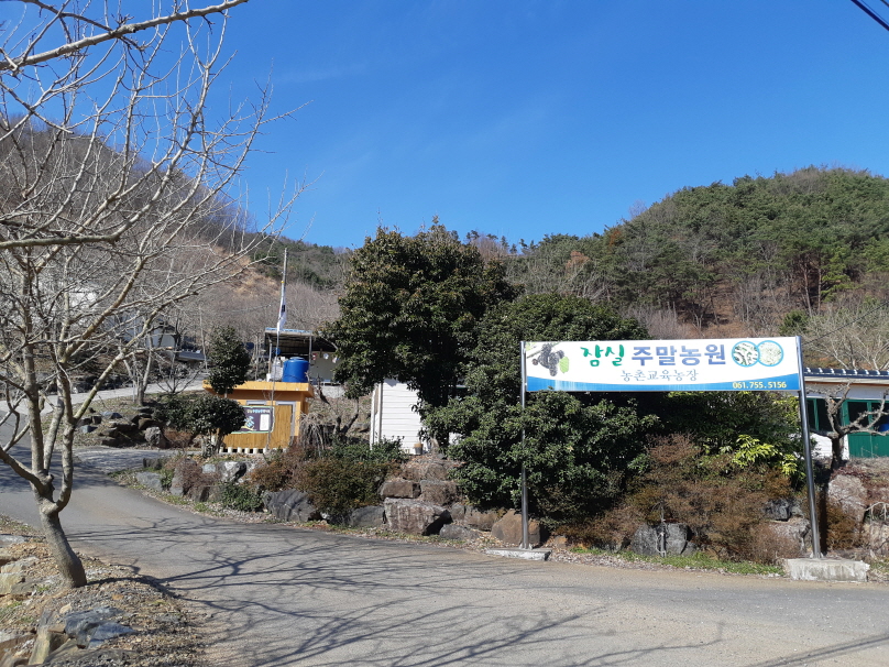 잠실주말농원농촌교육농장