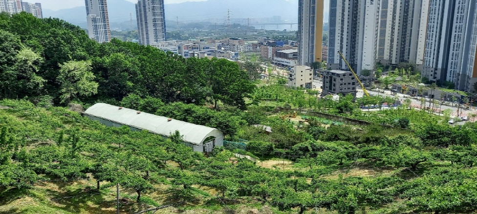 안나농원