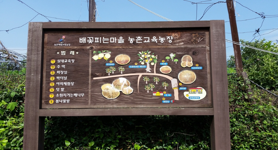 배꽃피는마을