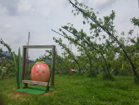 즐거운농원