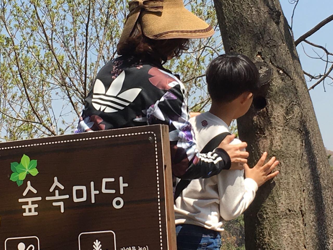 수피아