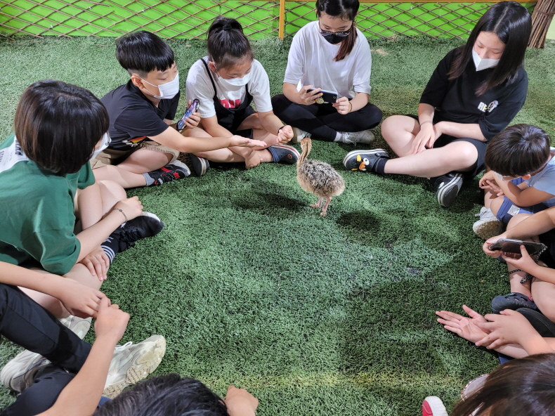 영농조합법인행복한타조농장