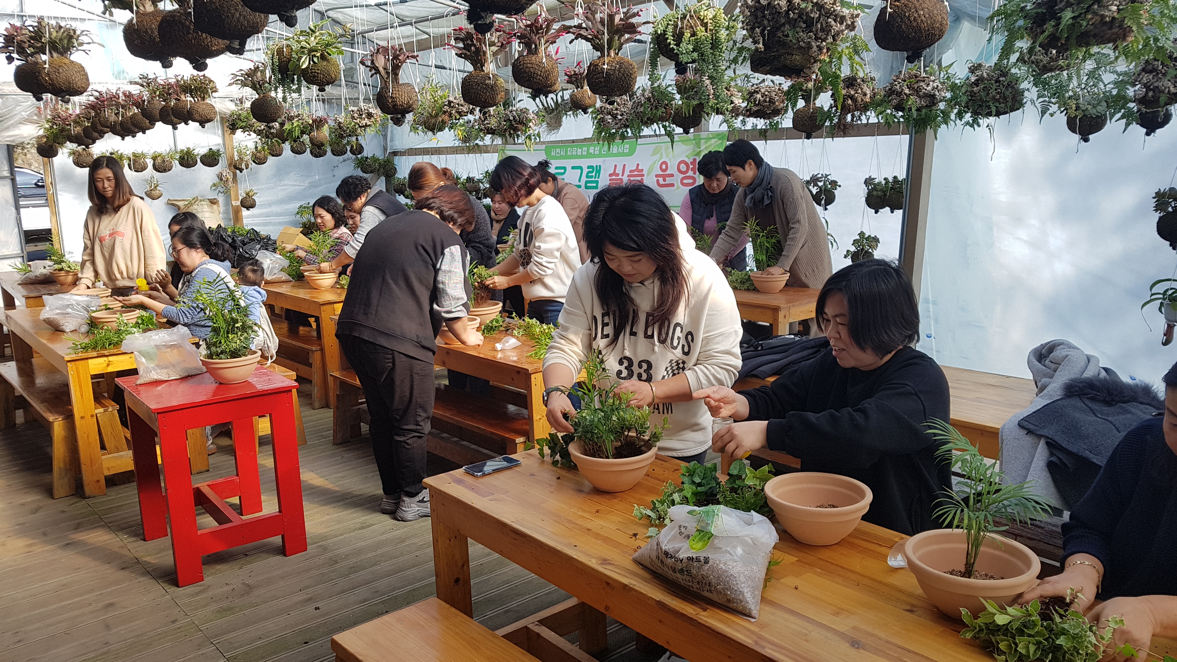 사천식물랜드