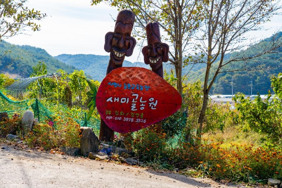 새미골농원