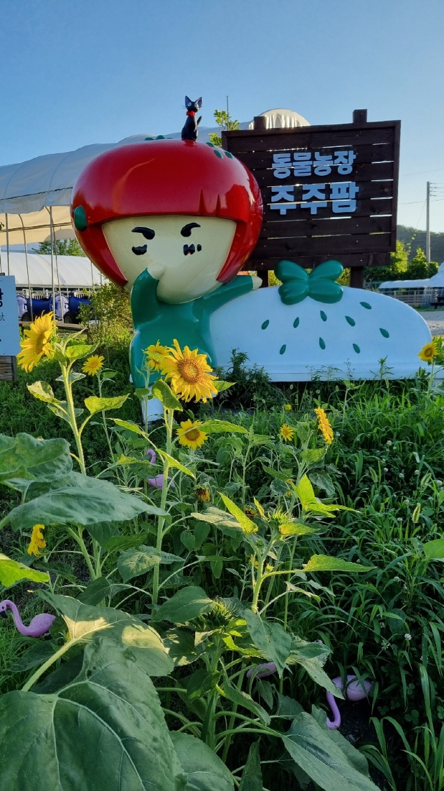 [Image of 가족 캠핑과 농장]