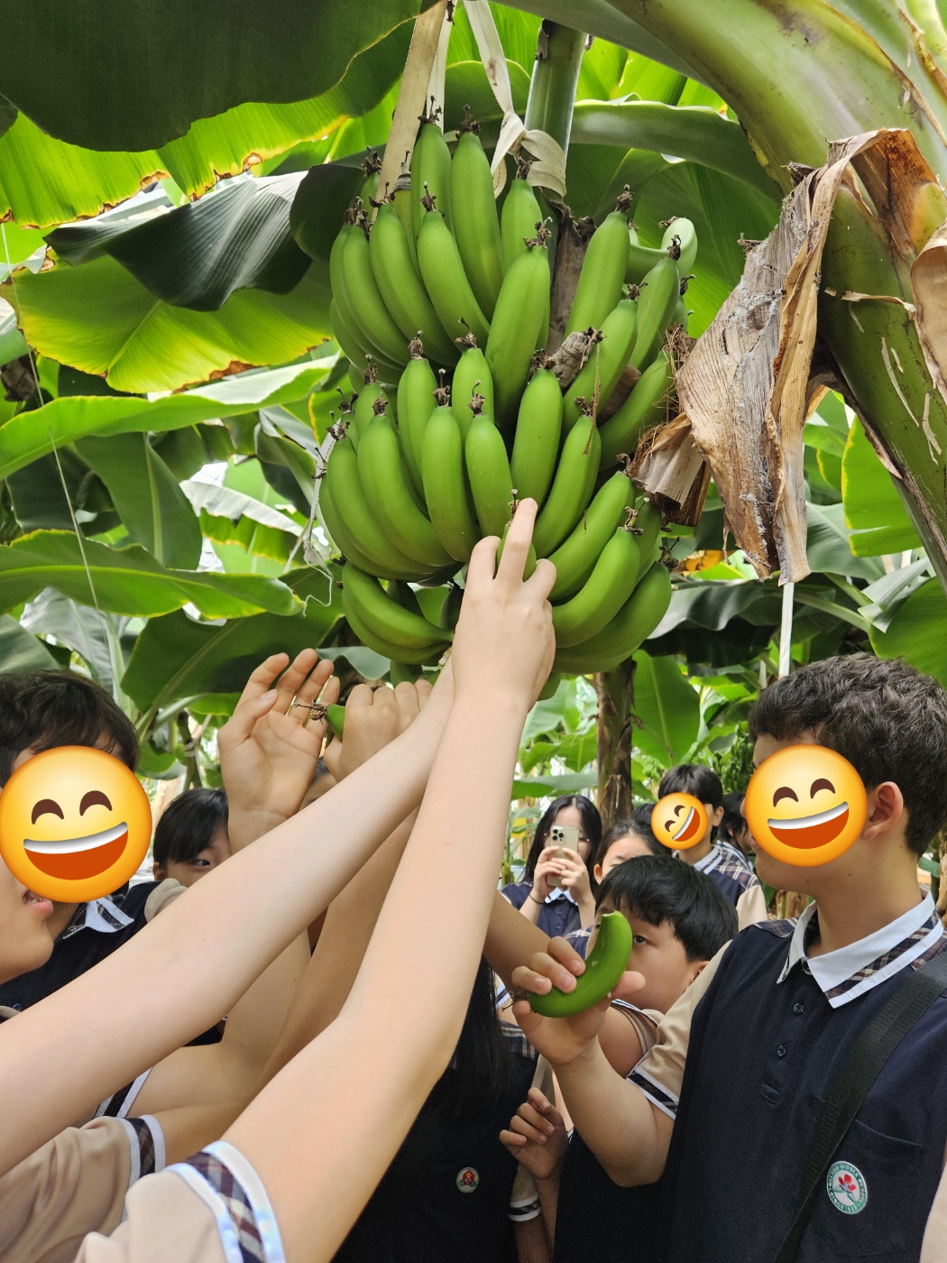 땅끝농부