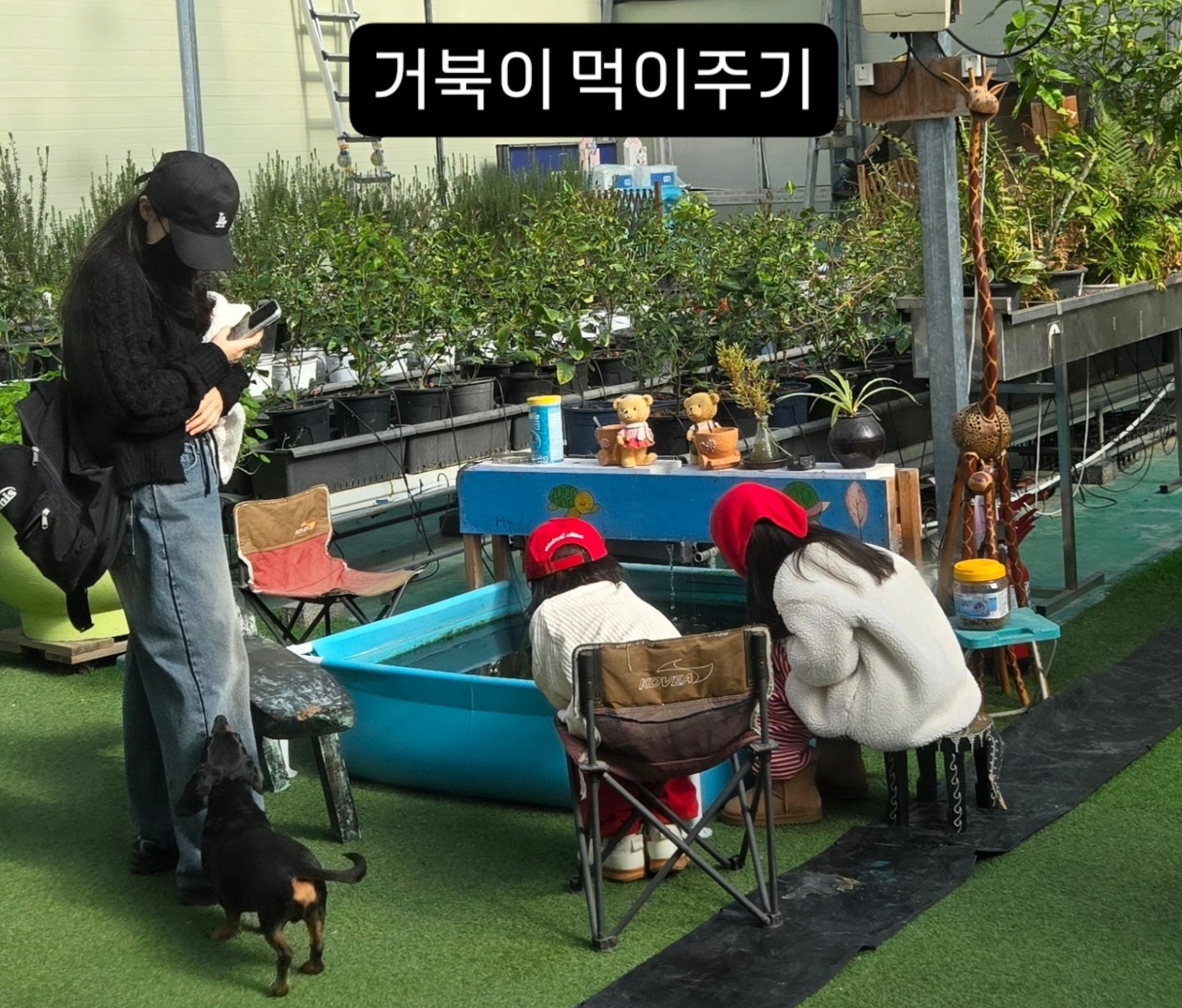 농업회사법인더자람(봄나루222치유체험농장)