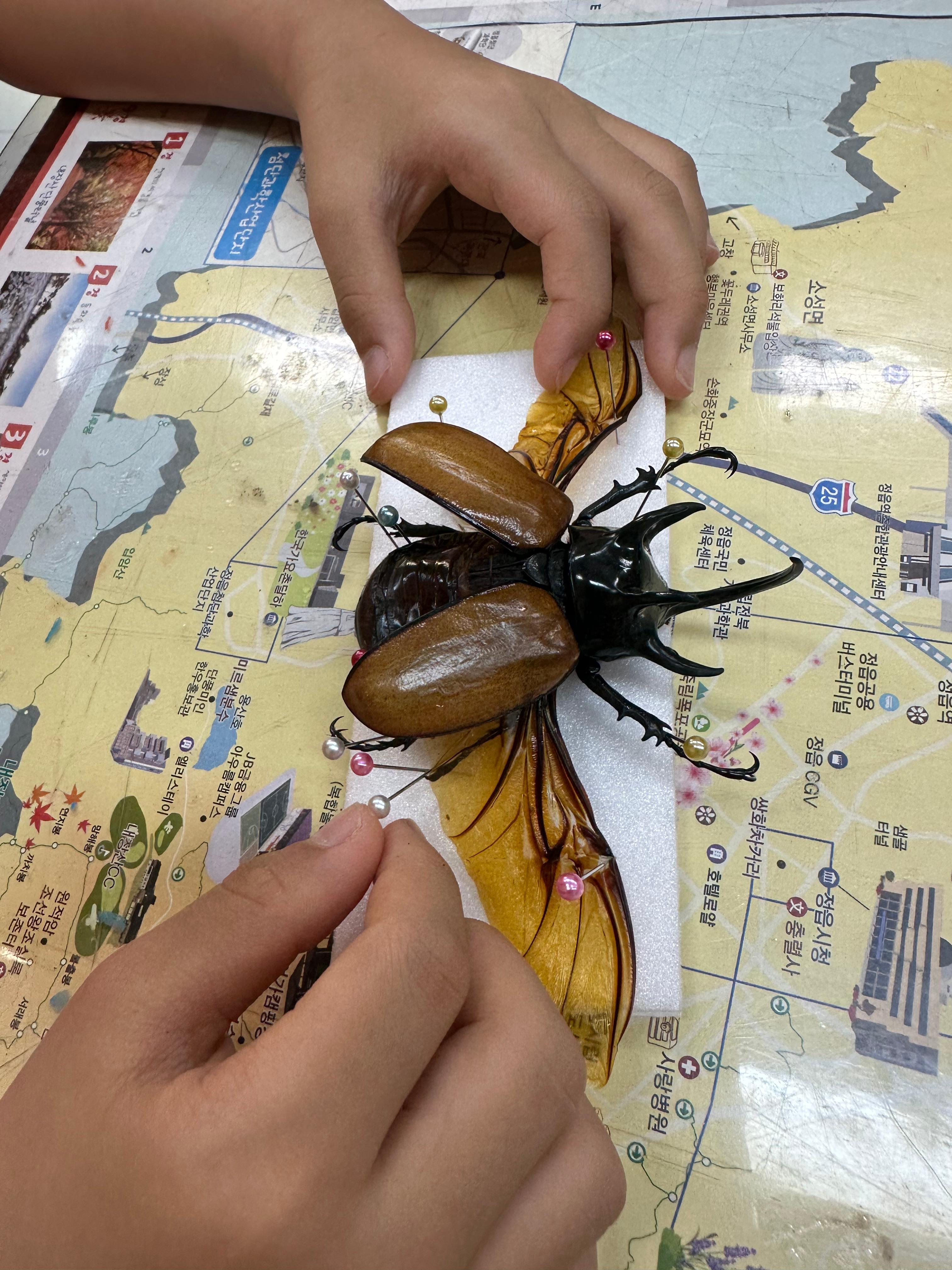 정읍이화곤충공방