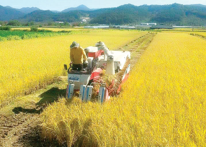 숲골농원 | 농사로 숲골농원