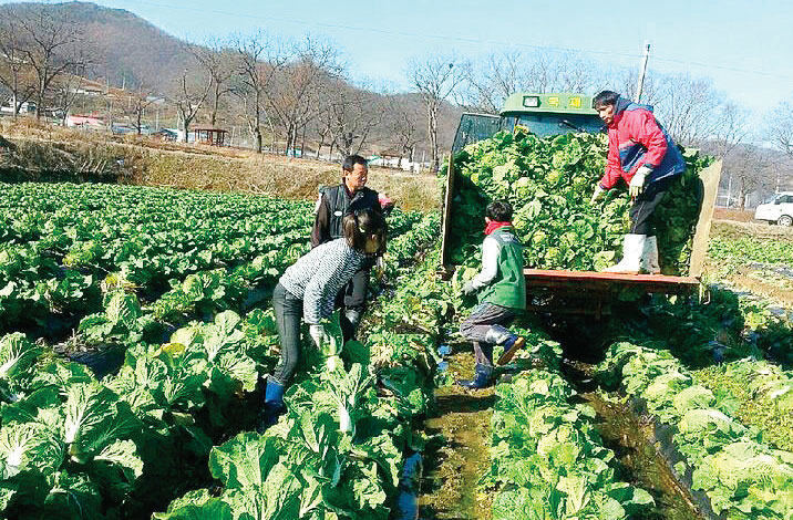 숲골농원 | 농사로 숲골농원