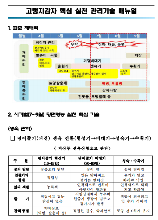 고랭지감자 핵심 재배 관리 기술