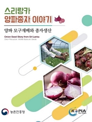 스리랑카 양파종자 이야기 양파 모구재배와 종자생산 농촌진흥청 KOPIA