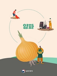 양파 농촌진흥청