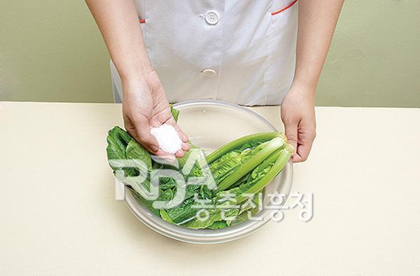 갓에 소금을 뿌려 절인다.
