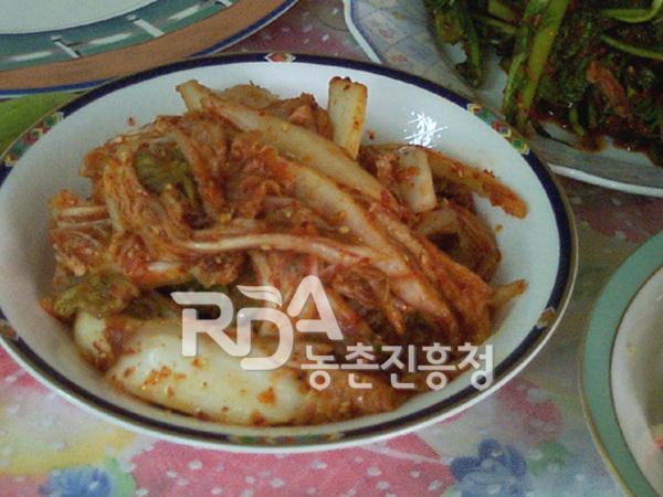 배추겉절이